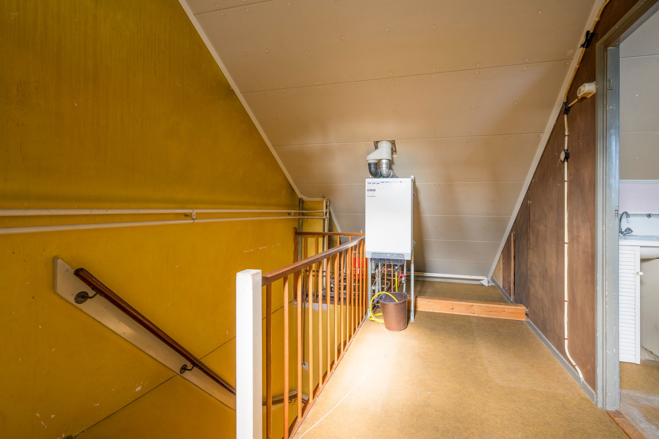 Foto 18 van Dashorst 29