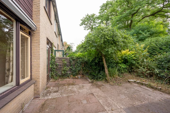 Foto 20 van Dashorst 29