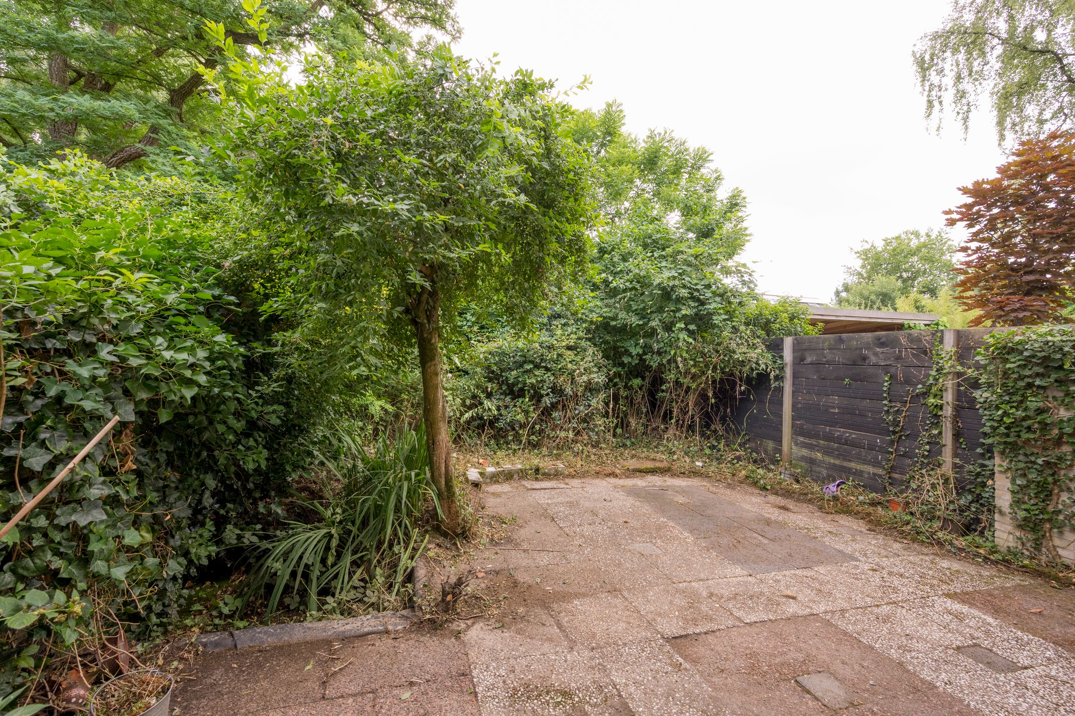 Foto 21 van Dashorst 29