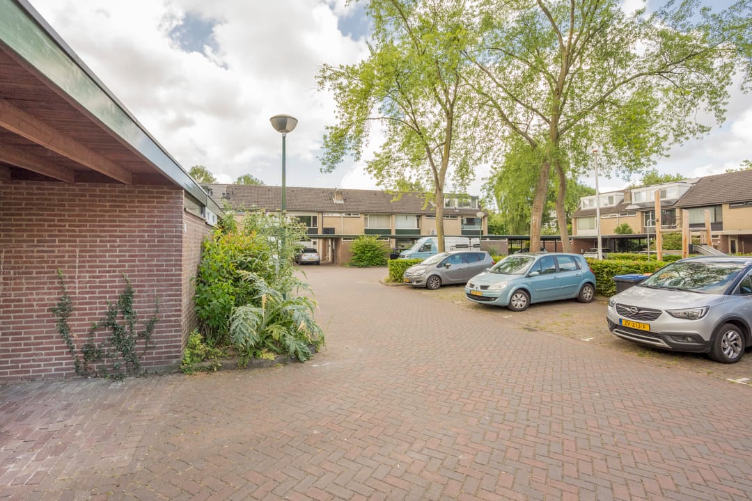 Foto 22 van Dashorst 29