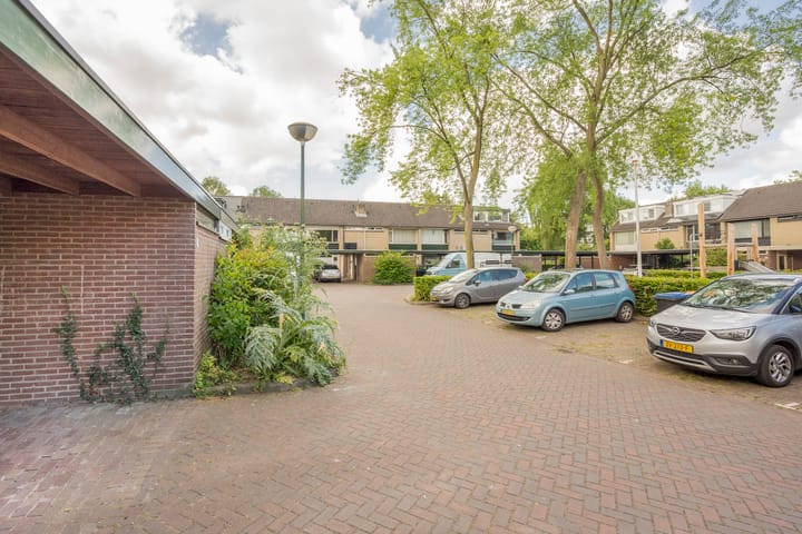 Foto 22 van Dashorst 29