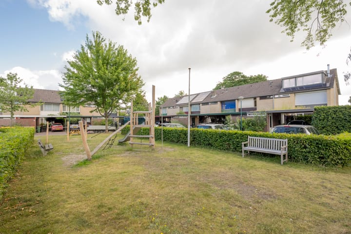 Foto 24 van Dashorst 29