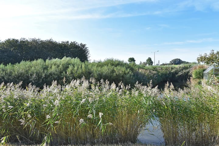 Foto 47 van Bieskade 23