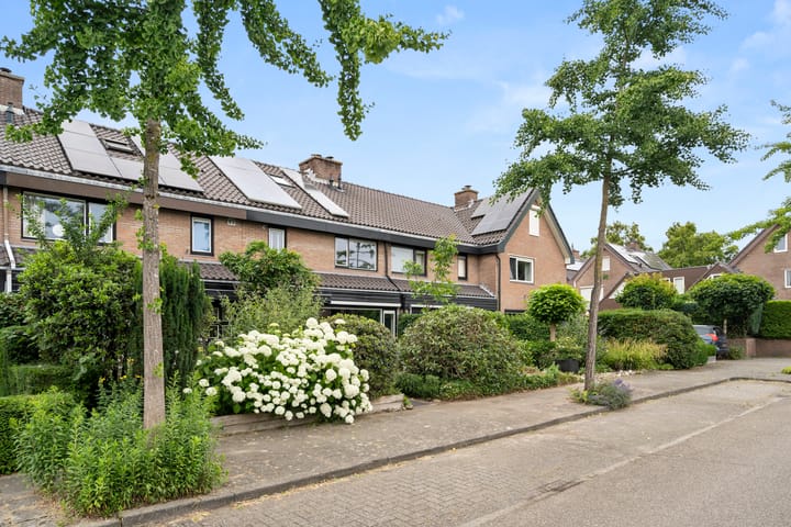 Foto 6 van Breehoven 42