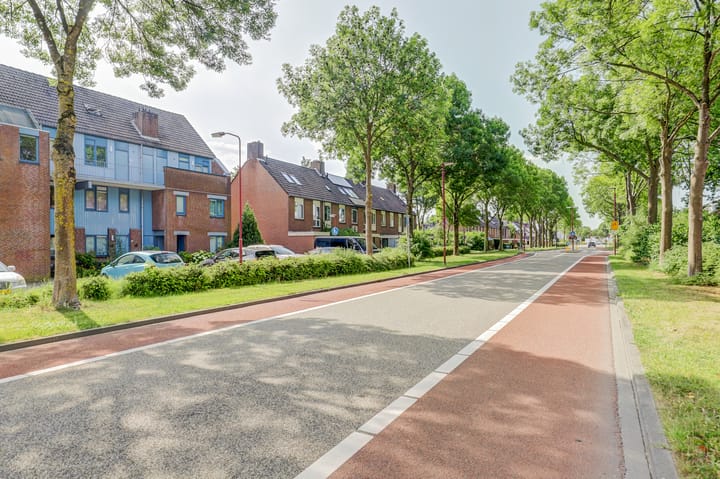 Photo 2 of Jadedrift 14