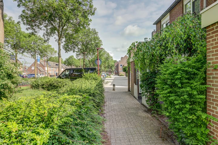 Photo 5 of Jadedrift 14