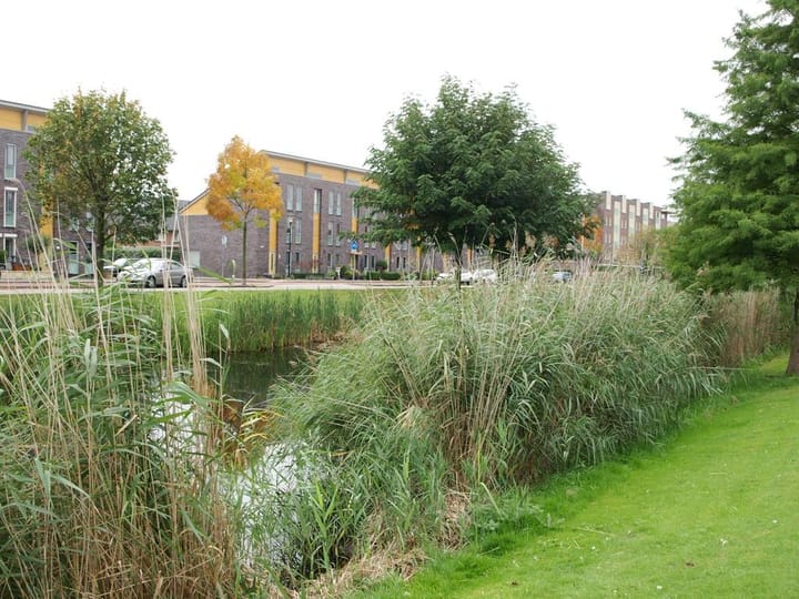 Foto 4 van Noordersingel 37