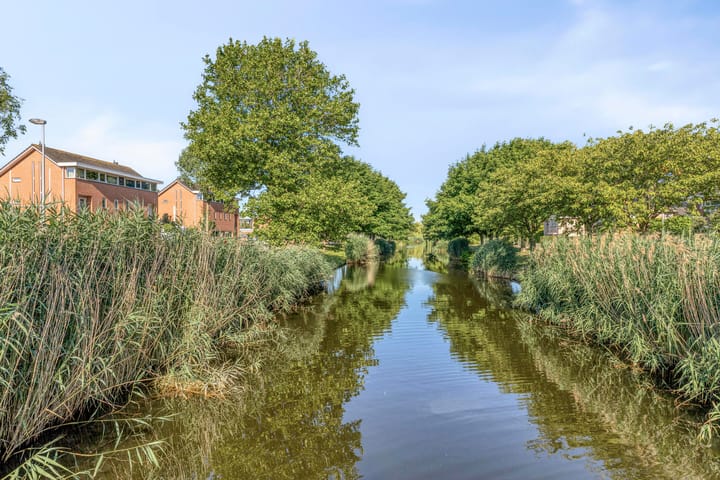 Foto 29 van Noordersingel 37