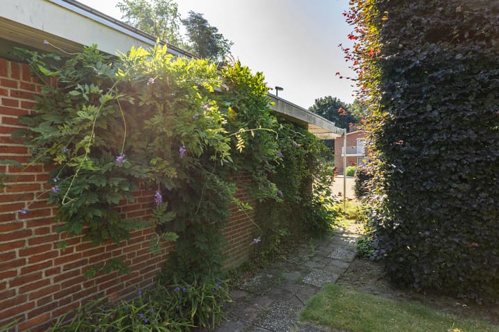 Foto 34 van Halleyhof 5