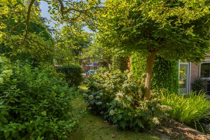 Foto 35 van Halleyhof 5