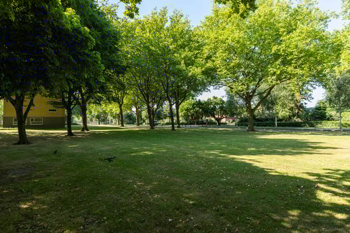 Foto 47 van Halleyhof 5