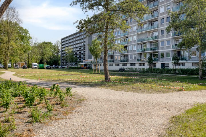 Foto 1 van Lepelaarsingel 330