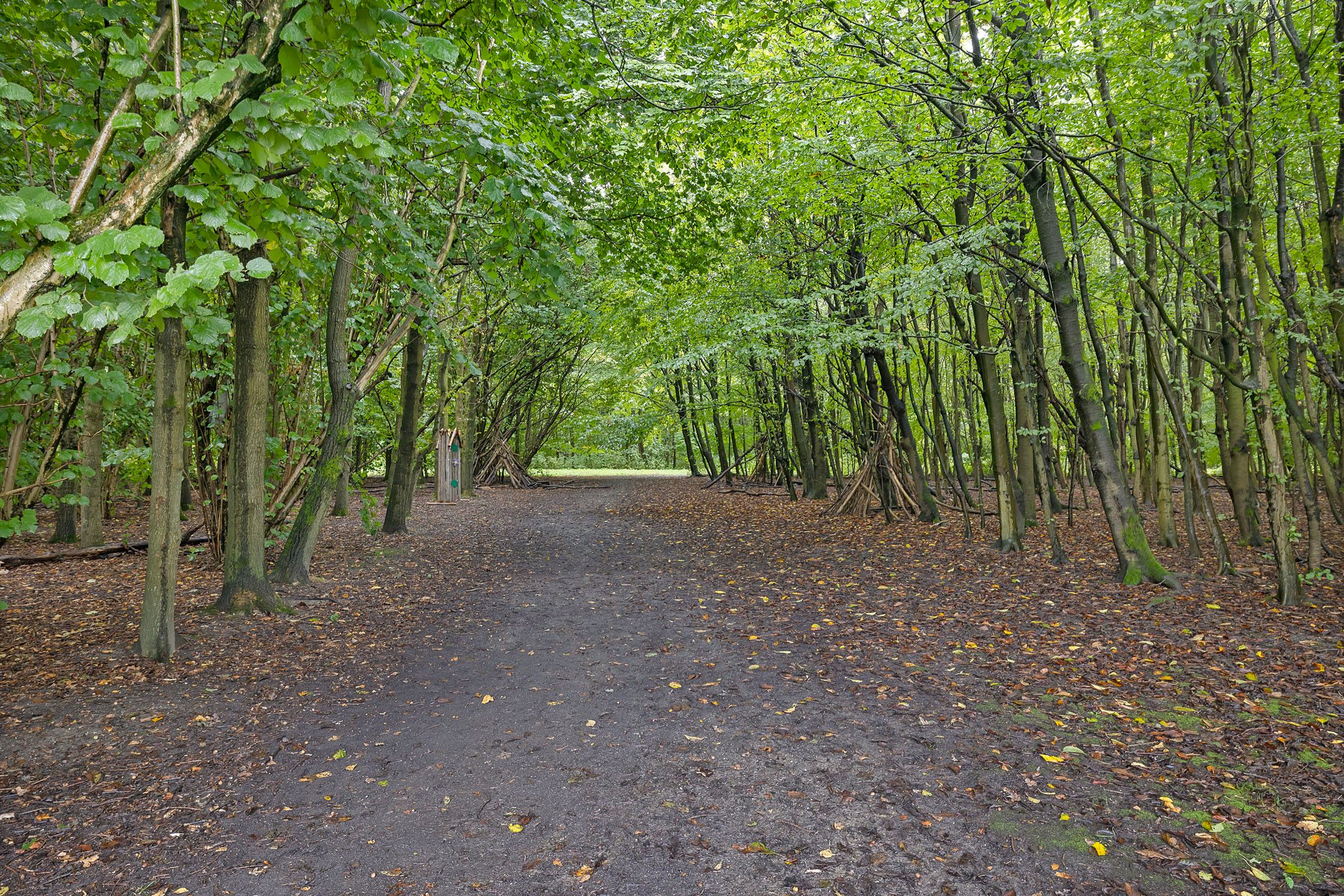 Photo 3 of Albert Einsteinstraat 58