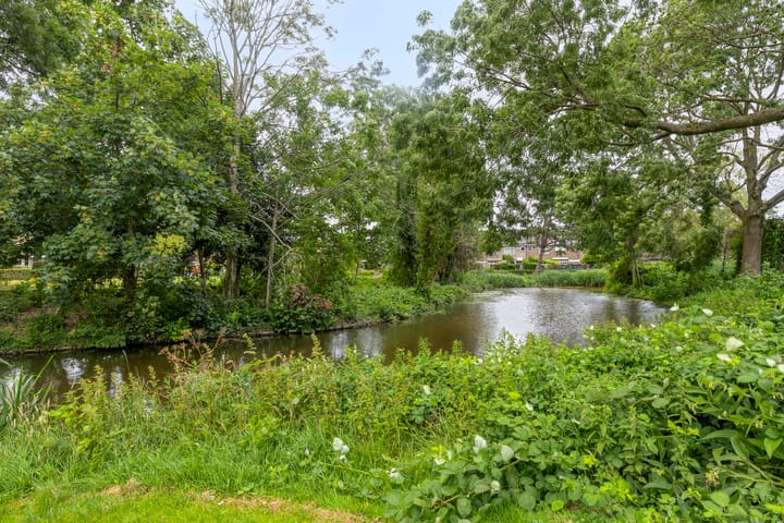 Foto 35 van Salamanderveen 326