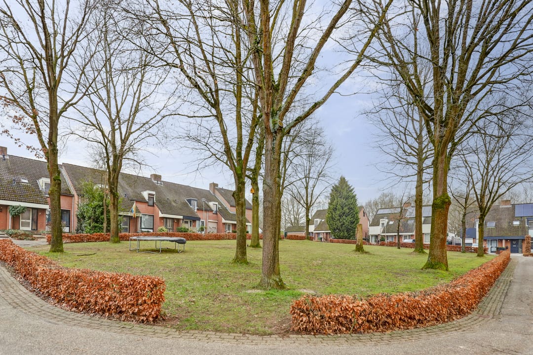 Foto 41 van Breidberg 3