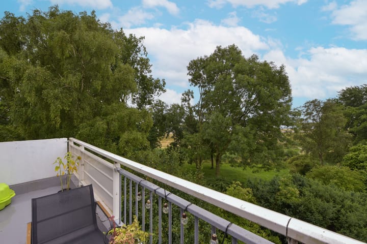 Foto 13 van Poolster 74