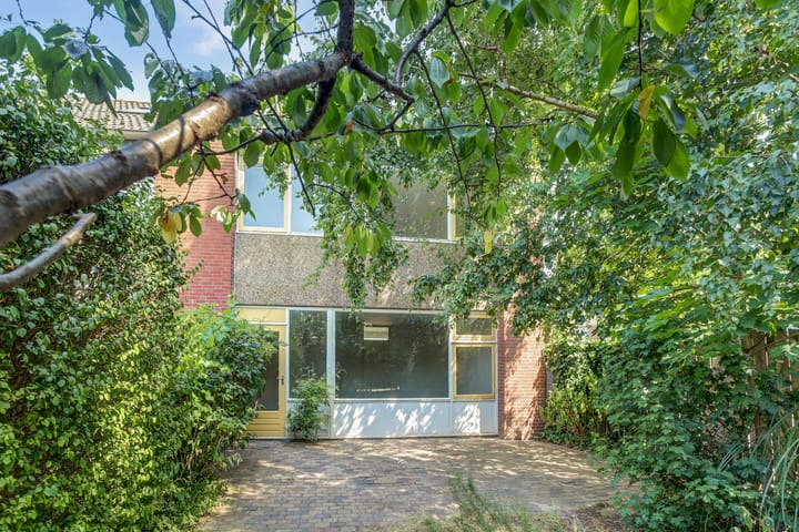 Foto 29 van Heilige Stoel 5902