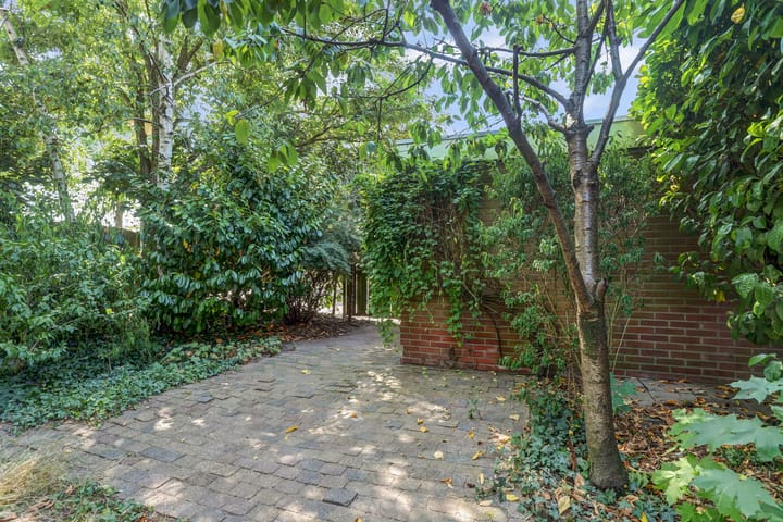 Foto 33 van Heilige Stoel 5902