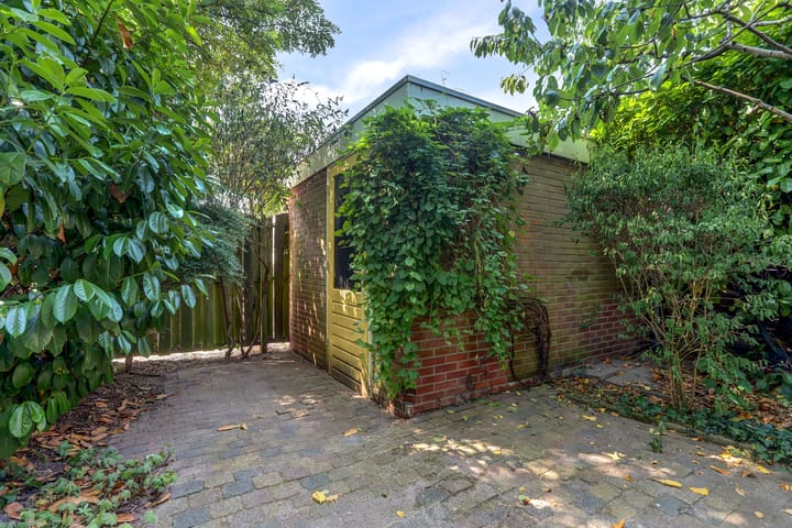 Foto 34 van Heilige Stoel 5902