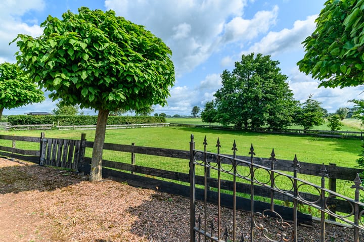 Photo 3 of IJsselhammerweg 2
