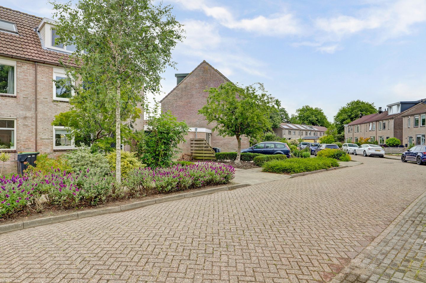 Photo 50 of Paltrokmolen 22