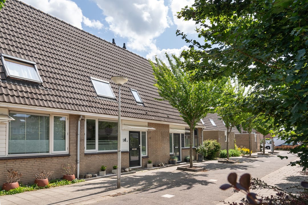 Foto 1 van Lupineveld 12