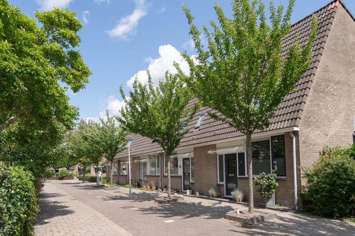 Foto 27 van Lupineveld 12