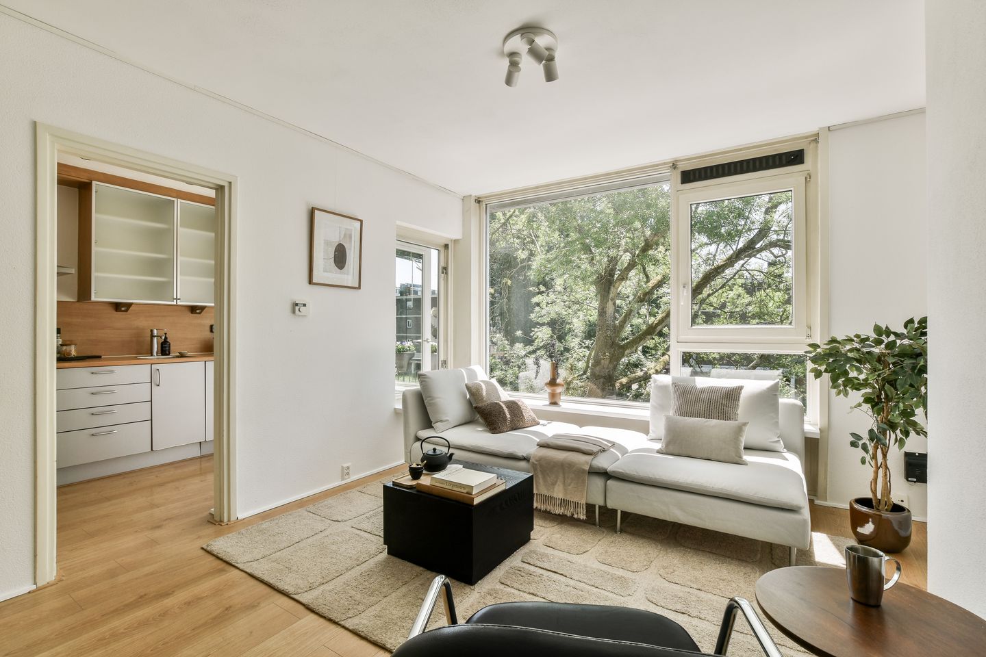 Foto 5 van Schierstins 125