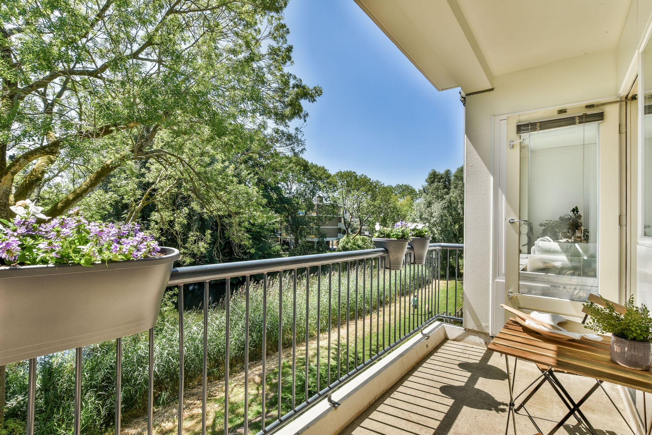 Foto 3 van Schierstins 125