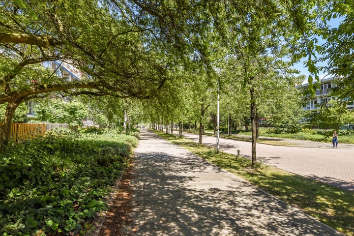 Foto 19 van Schierstins 125