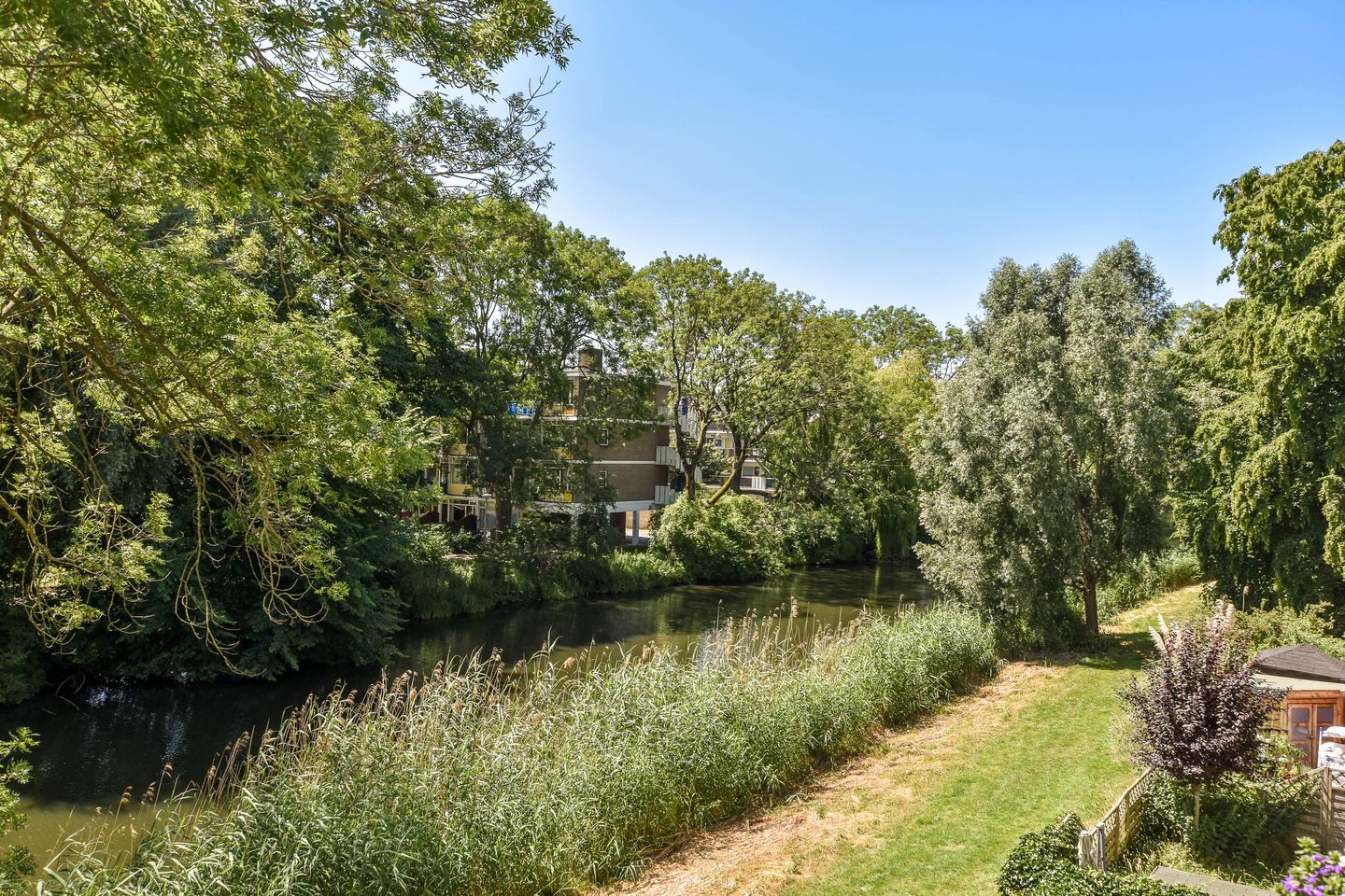 Foto 20 van Schierstins 125