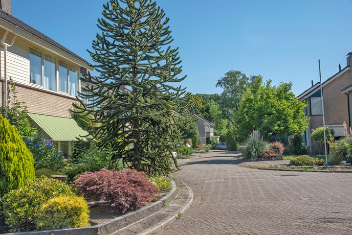 Foto 25 van Willem de Clercqstraat 69