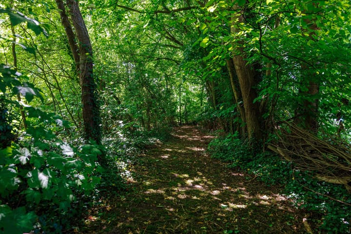 Foto 53 van Tsjerkepaed 26