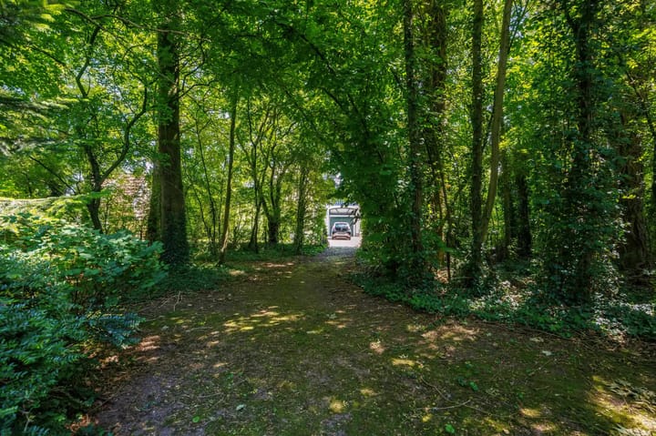 Foto 54 van Tsjerkepaed 26