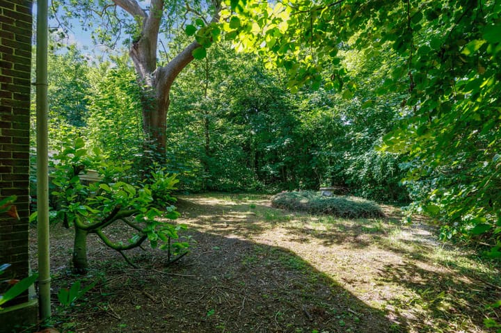 Foto 55 van Tsjerkepaed 26