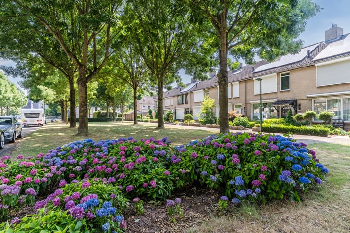 Foto 52 van de Ruyterstraat 18