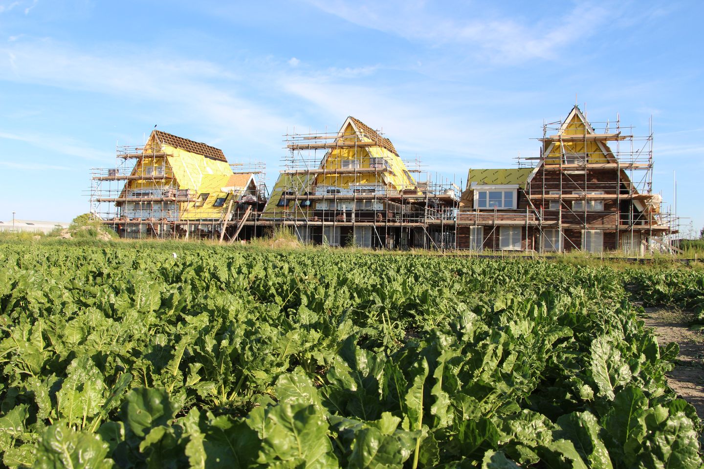 Foto 4 van Bovenwiel 3