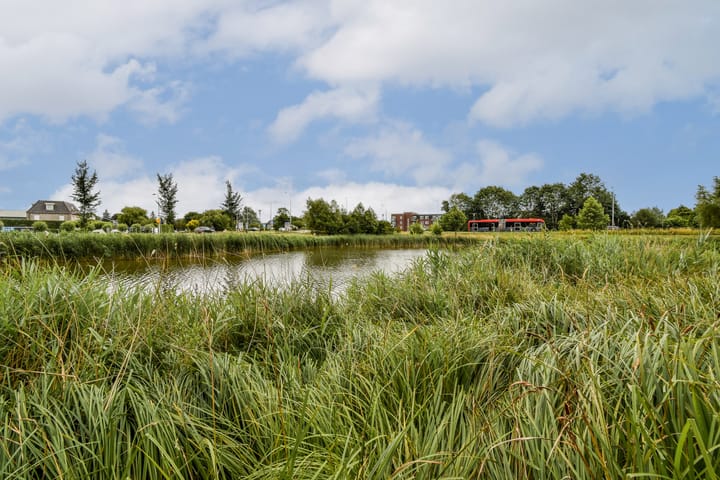 Foto 17 van Zeeltstraat 89