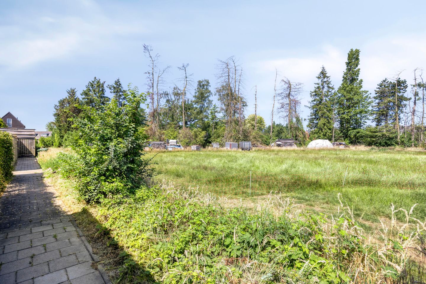 Foto 5 van Rozemarijn 32