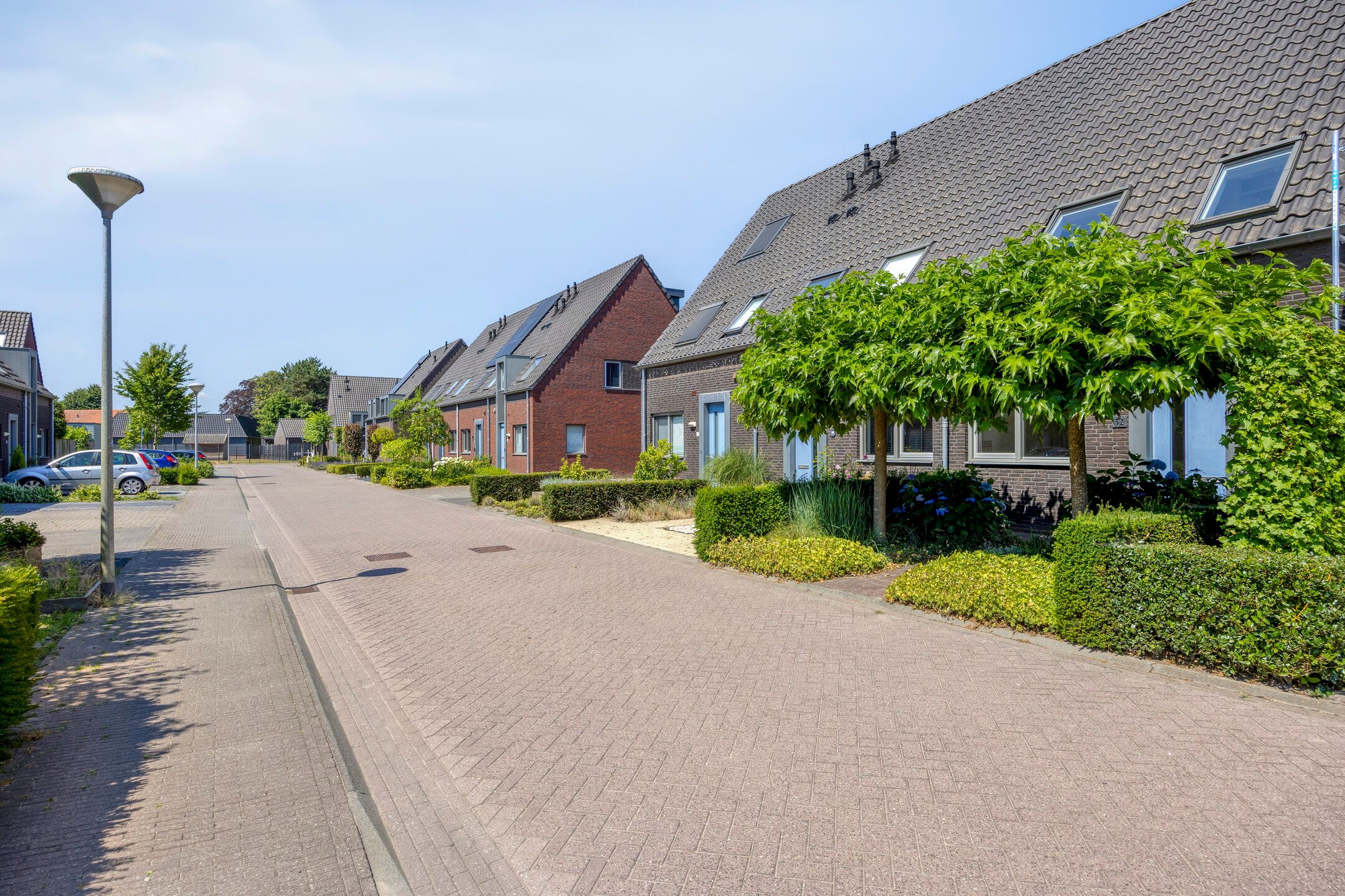 Foto 6 van Rozemarijn 32