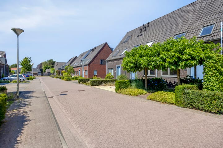 Foto 6 van Rozemarijn 32