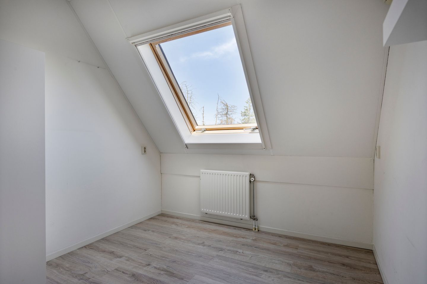 Foto 19 van Rozemarijn 32