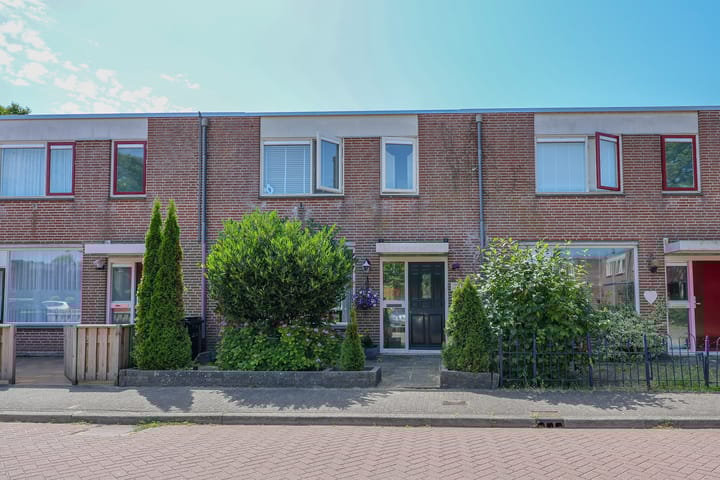 undefined main image