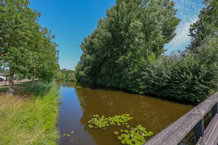 Foto 50 van Kornwierde 85