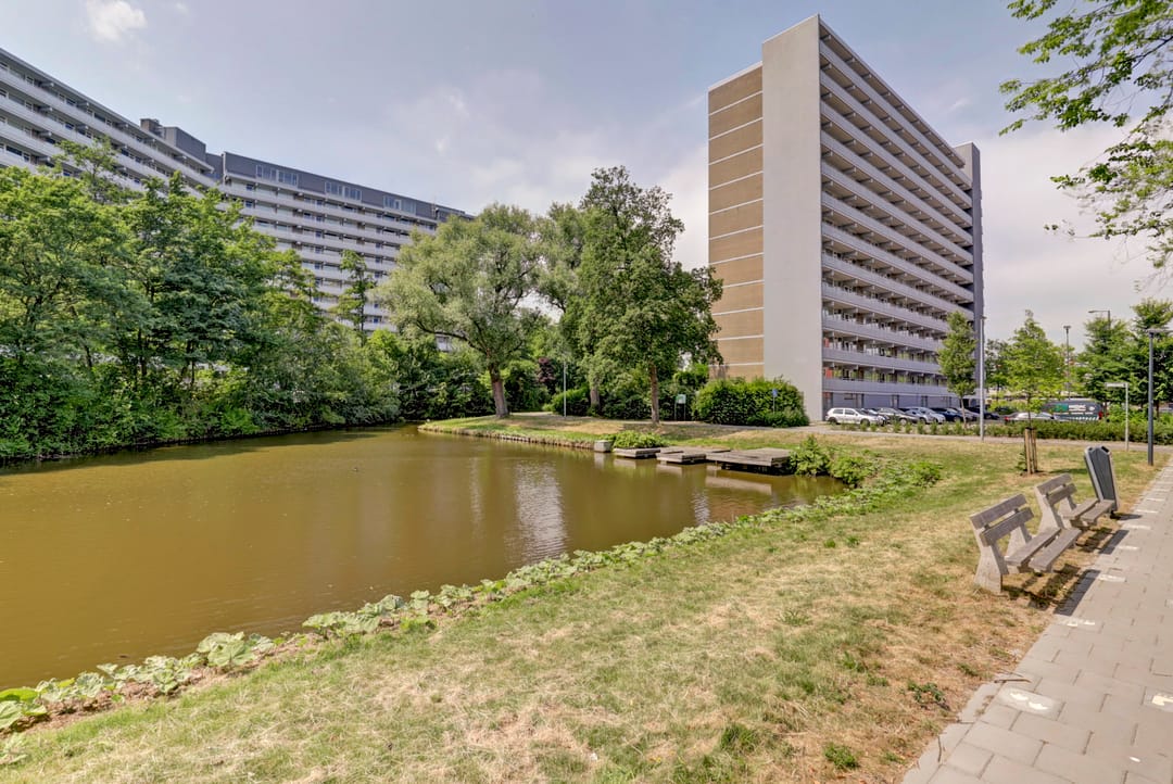 Foto 28 van Griegplein 232