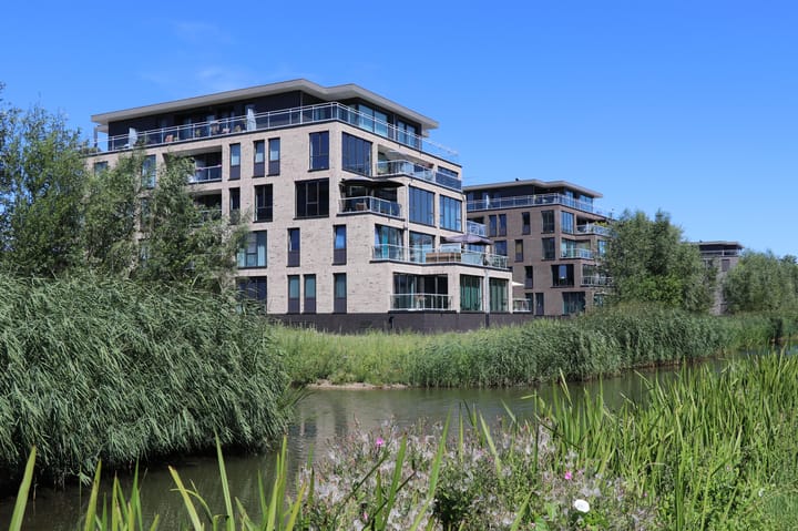 Foto 4 van De Carreur 37