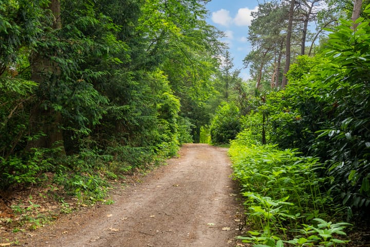 Foto 25 van Maarnse Bergweg 1-R56