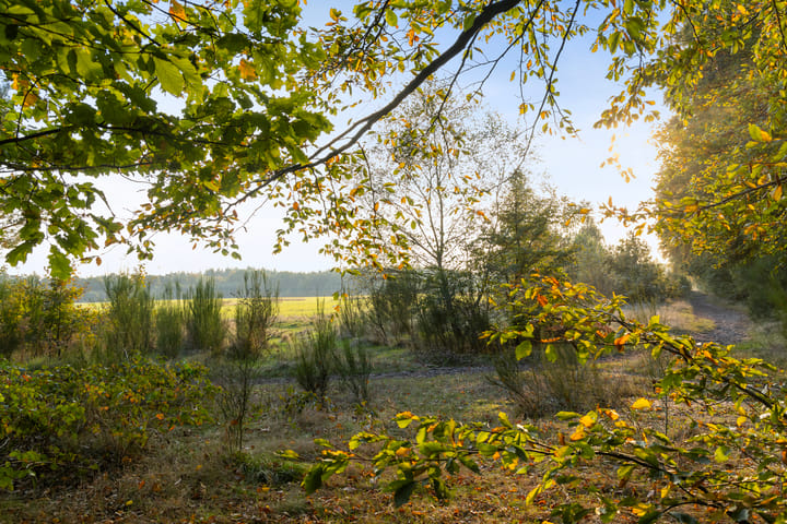 Foto 33 van Maarnse Bergweg 1-R56