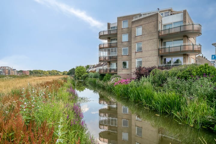 Foto 41 van Buitendijklaan 110