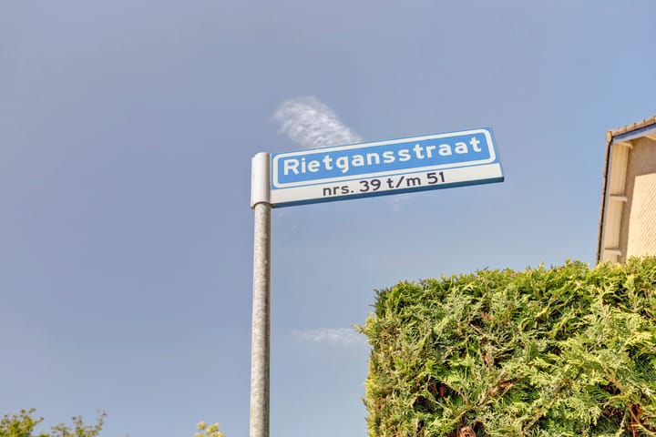 Foto 50 van Rietgansstraat 43